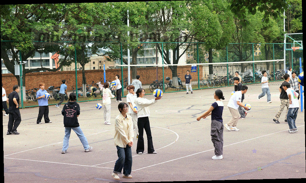一条路径在中央分成两支细线的示意图，一支进入密集格点区，一支进入稀疏格点区